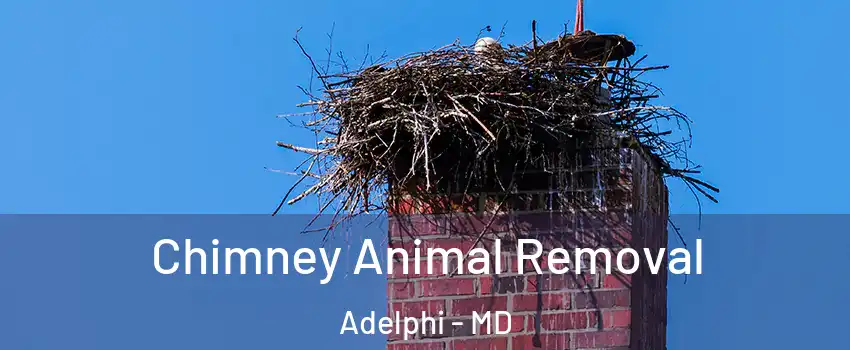  Chimney Animal Removal Adelphi - MD