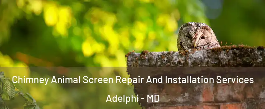  Chimney Animal Screen Repair And Installation Services Adelphi - MD