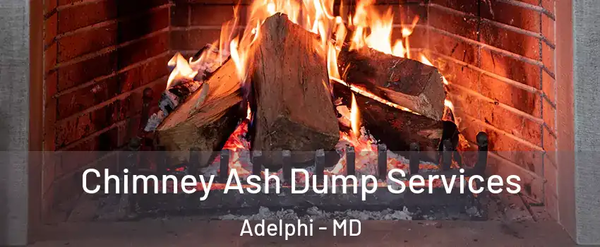 Chimney Ash Dump Services Adelphi - MD