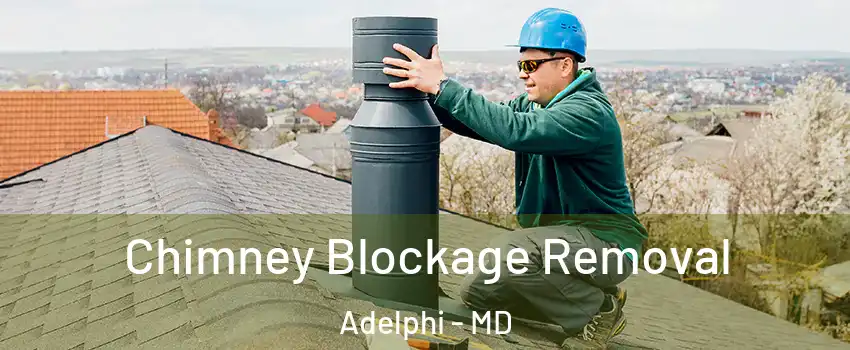  Chimney Blockage Removal Adelphi - MD