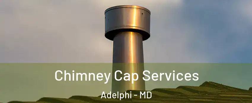  Chimney Cap Services Adelphi - MD