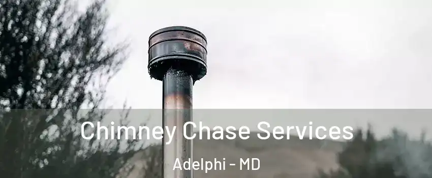  Chimney Chase Services Adelphi - MD