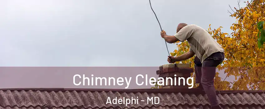  Chimney Cleaning Adelphi - MD