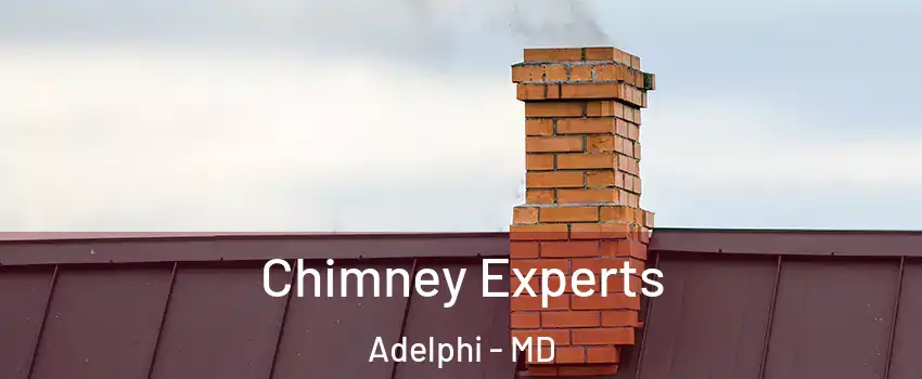 Chimney Experts Adelphi - MD