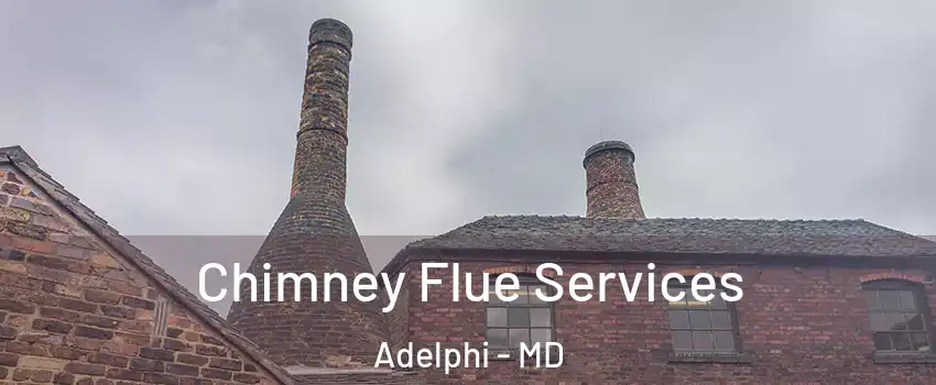  Chimney Flue Services Adelphi - MD