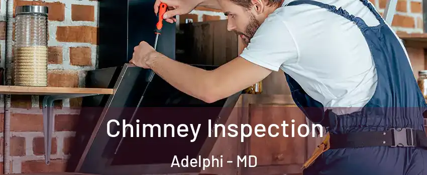  Chimney Inspection Adelphi - MD