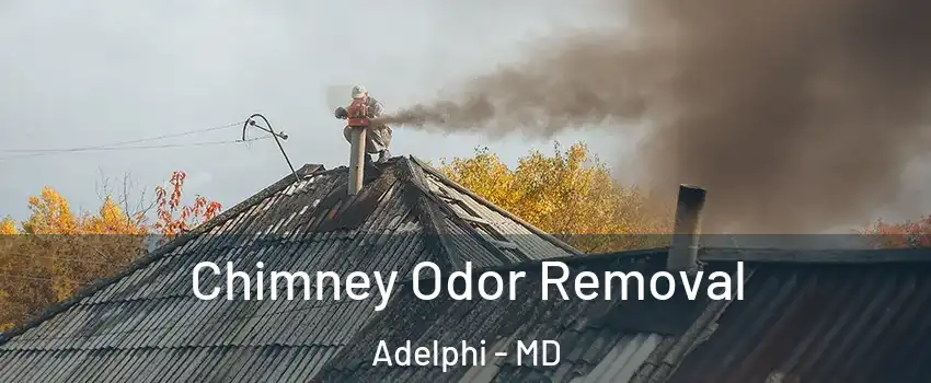  Chimney Odor Removal Adelphi - MD