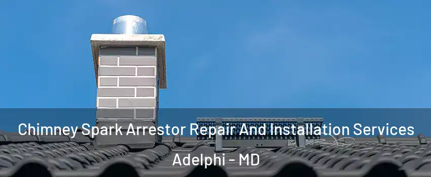  Chimney Spark Arrestor Repair And Installation Services Adelphi - MD