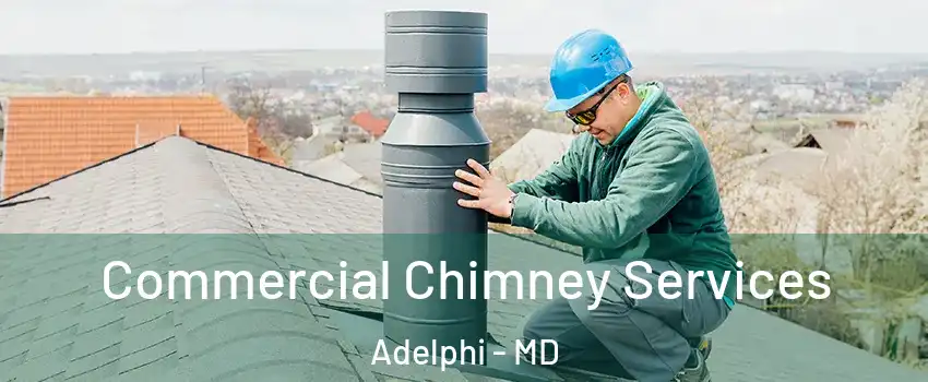  Commercial Chimney Services Adelphi - MD