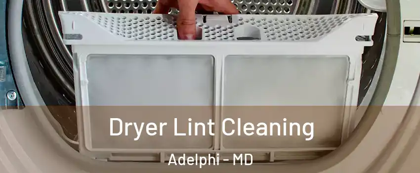  Dryer Lint Cleaning Adelphi - MD