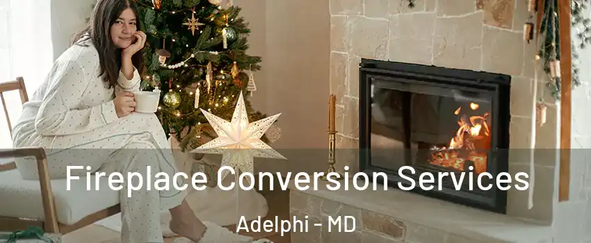  Fireplace Conversion Services Adelphi - MD