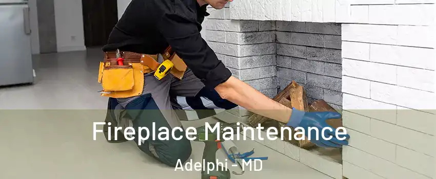  Fireplace Maintenance Adelphi - MD
