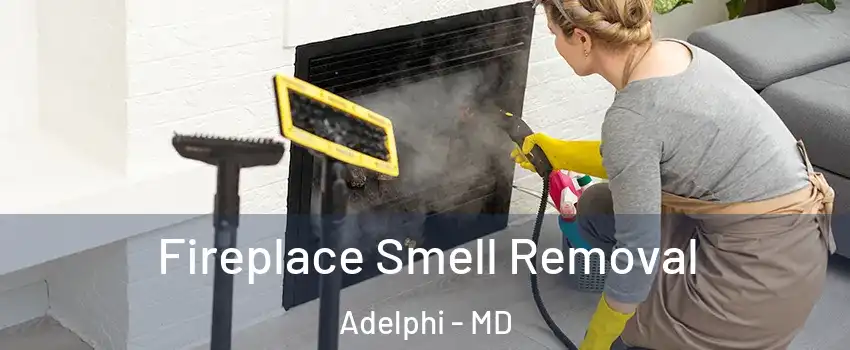  Fireplace Smell Removal Adelphi - MD