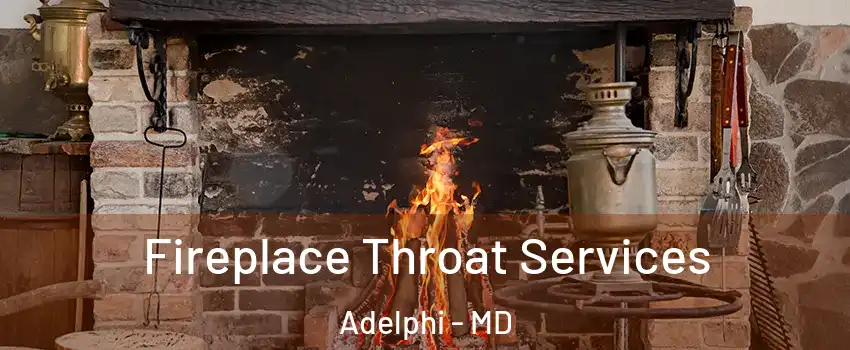  Fireplace Throat Services Adelphi - MD