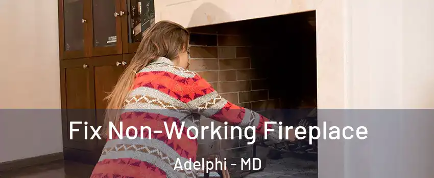  Fix Non-Working Fireplace Adelphi - MD