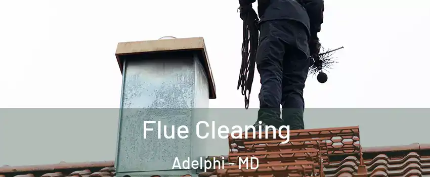  Flue Cleaning Adelphi - MD