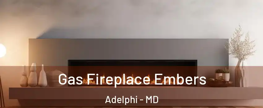  Gas Fireplace Embers Adelphi - MD