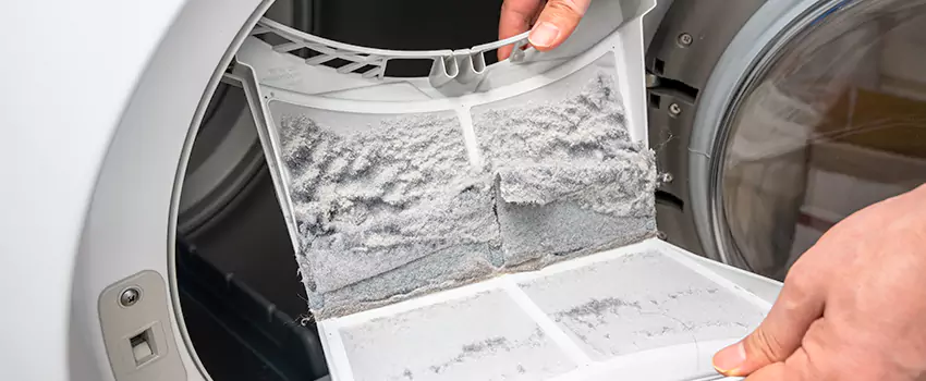Best Dryer Lint Removal Company in Adelphi, Maryland