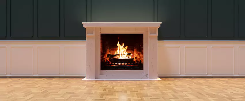 Napoleon Electric Fireplaces Inspection Service in Adelphi, Maryland