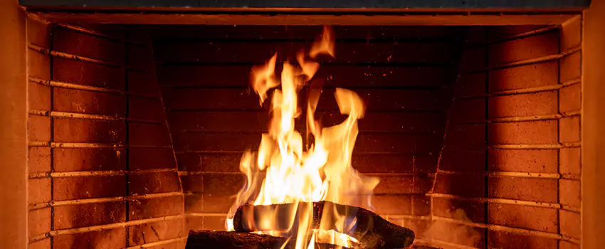 Soot Cleanup Services in Adelphi, MD