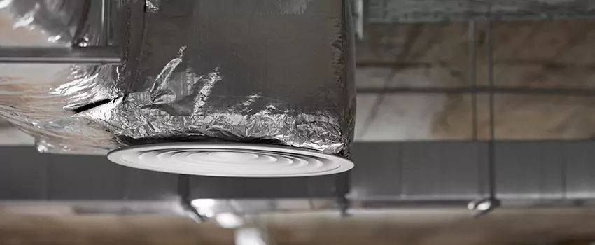 Signs of Dust Accumulation in Vents in Adelphi, MD