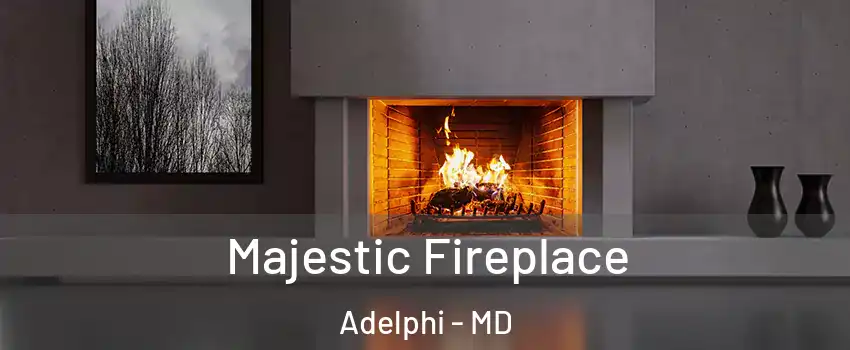  Majestic Fireplace Adelphi - MD