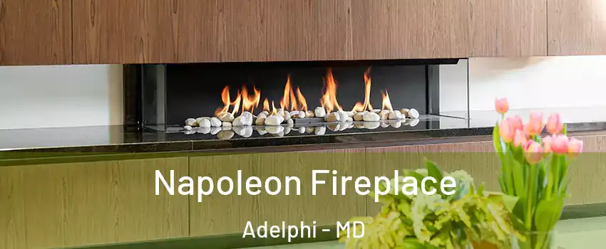  Napoleon Fireplace Adelphi - MD
