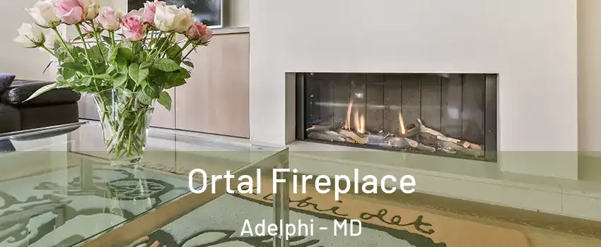  Ortal Fireplace Adelphi - MD